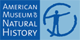 American Museum of Natural History jobs